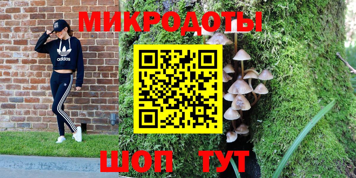 Вологда  Псилоцибиновые грибы GOLDEN TEACHER  цены   Вход с VPN 
